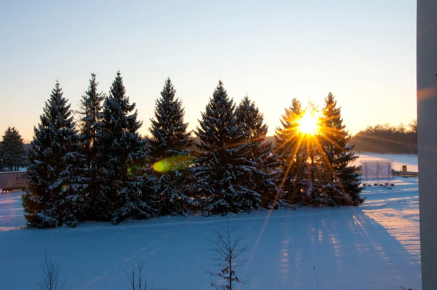 Verschneite Bäume im Winterlicht